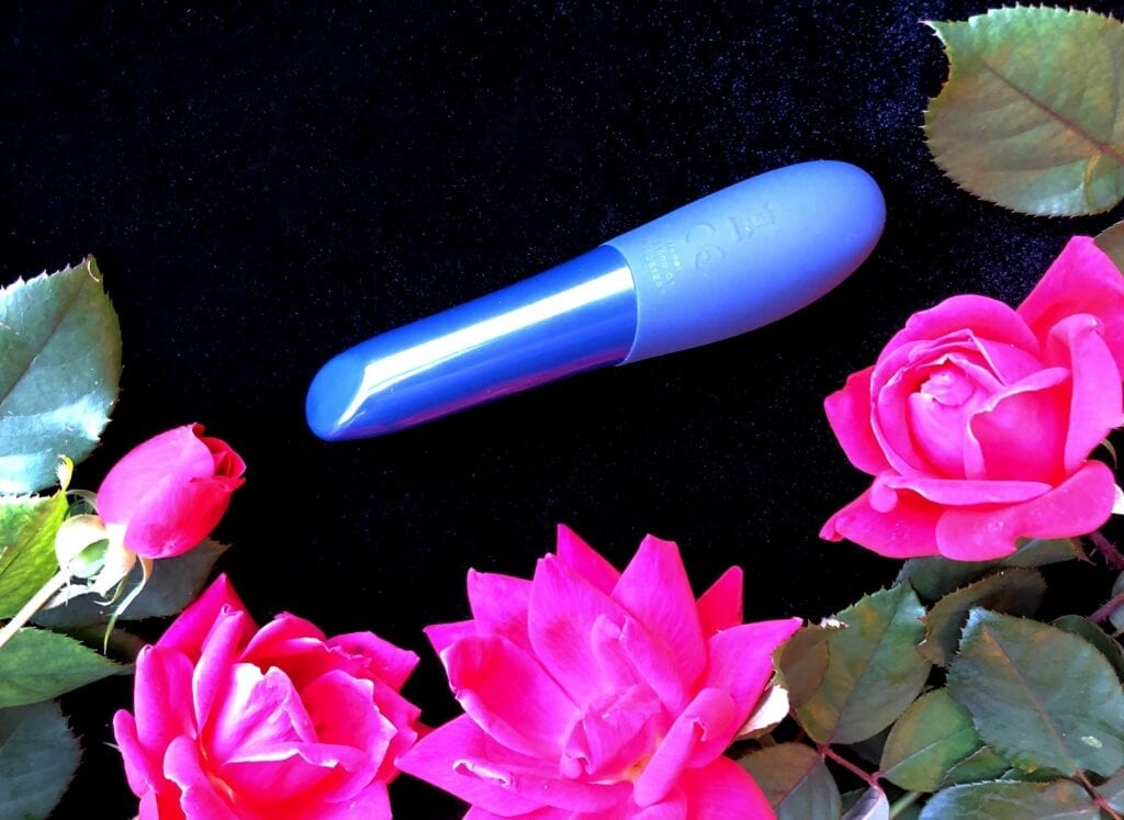 We-Vibe-Tango-X-review-pinpoint-tip-best