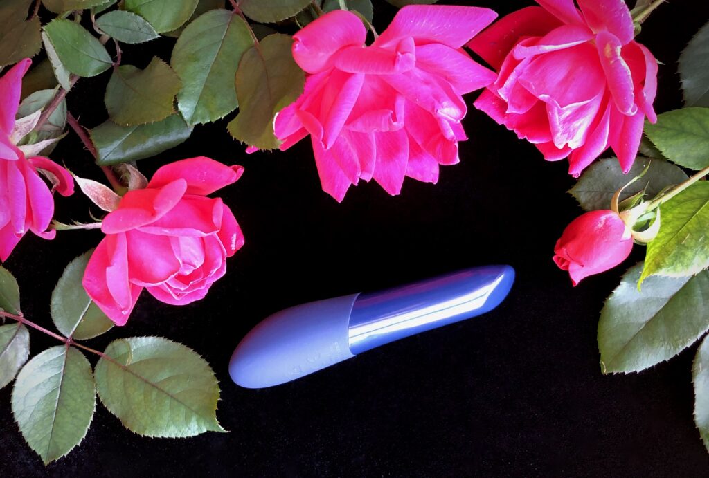 We-Vibe Tango X review pinpoint tip flowers