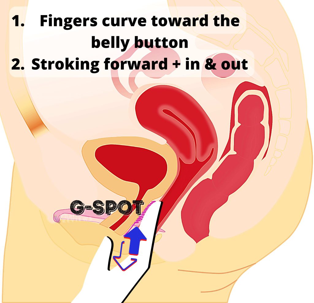 How to massage G-spot with fingers diagram
