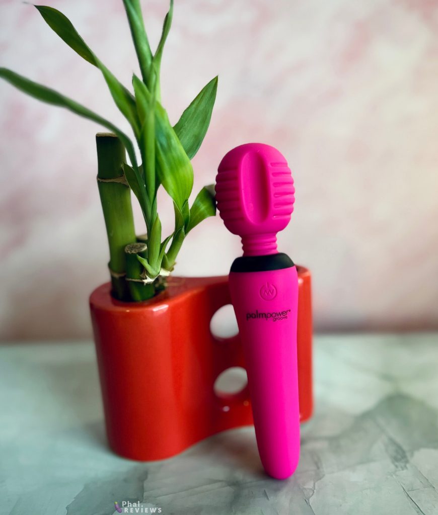 PalmPower Groove vibrator review