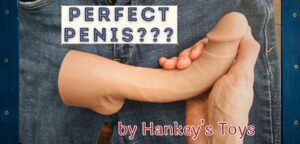 Hankey's Toys Perfect Penis dildo review