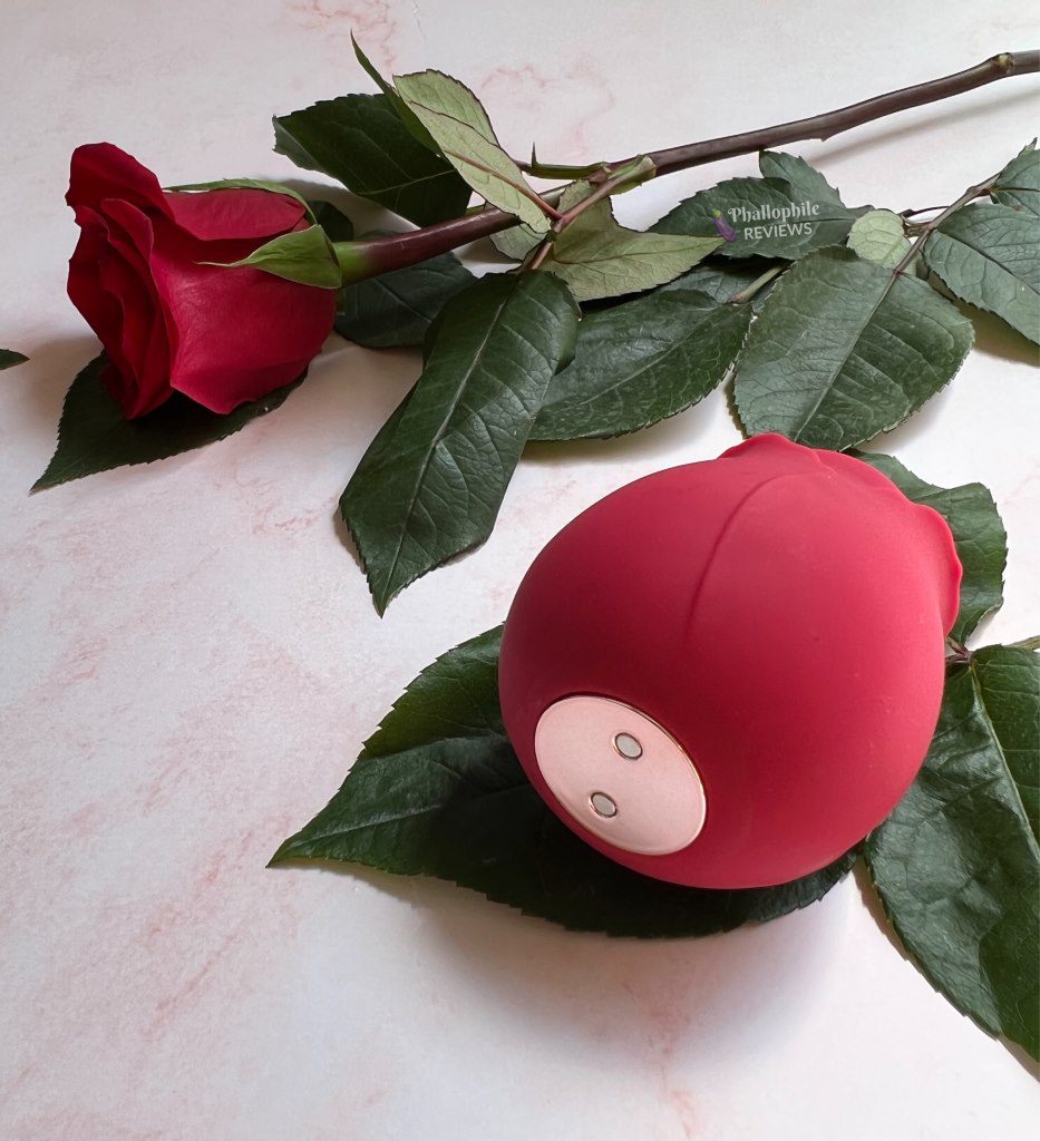How to charge Rose sex toy - magnetic contact points