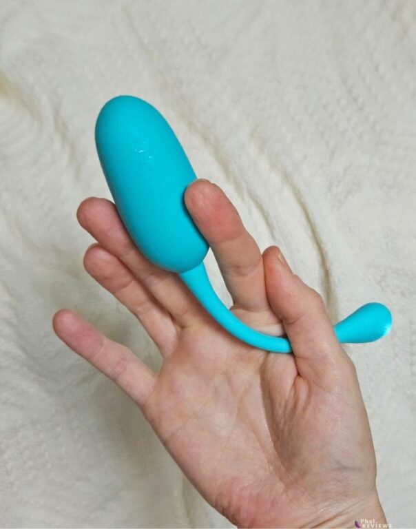 Best Panty Vibrator, Top 5 Tested Results  Phallophile Reviews