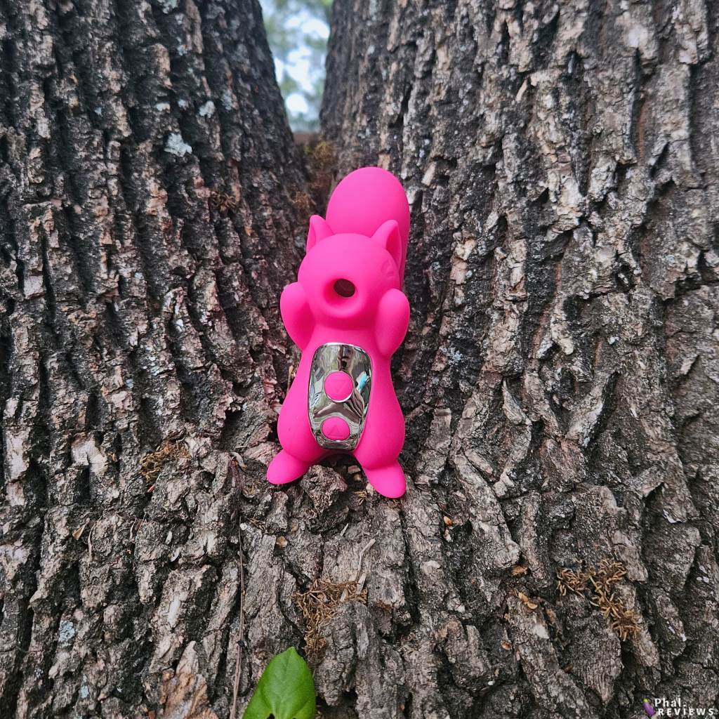 Screaming Squirrel vibrator in tree