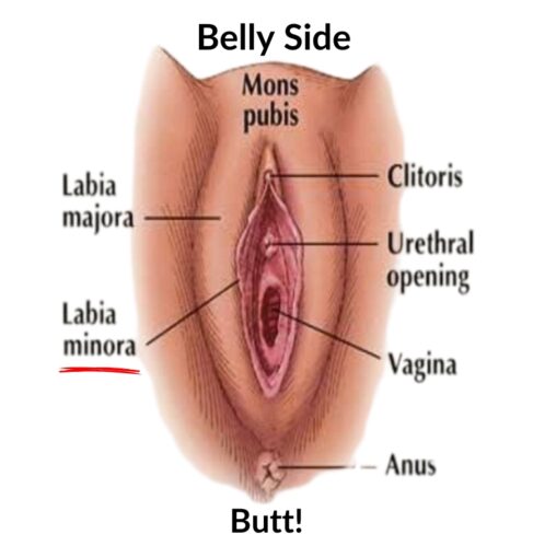 labia sex toy Pussy Ass Masturbator Sex Toy With Virgin Tight Labia, 2 Hole Realisti –  BlessMyBucket