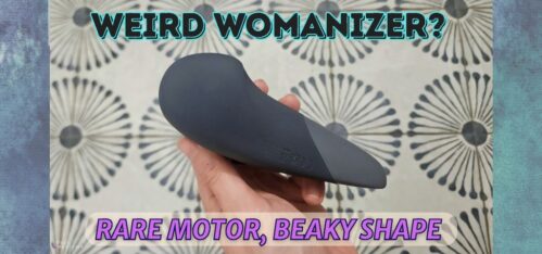 Womanizer Vibe review featured showing Womanizer vibe in hand over patterned tile